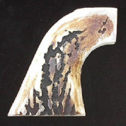 1873 SAA natural stag